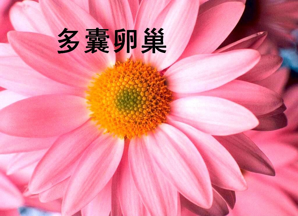 ŮԶѳۺ֢Щ