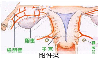 ݸƵעʲô