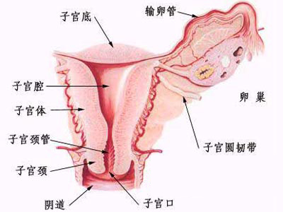 ŮʹʱܳЩʳ